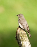 20110615-IMG_5885
