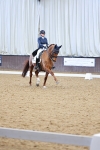 Class 19 - FEI INT I portfolio