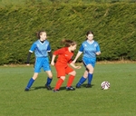 DSC01586