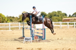 SBM_002971
