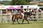SBM_07656