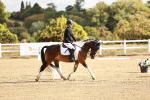 SBM_009852