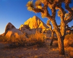 Istock #18954671