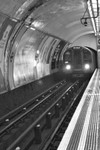 The Underground by Michael Julian