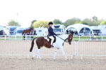 SBM_11353