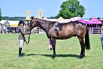 SBM_18172