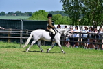 SBM_15266