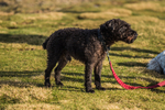 Sale Fell-570