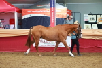 SBM_15971