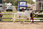 SBM_04577