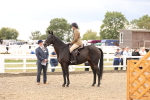 SBM_06206