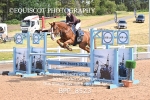 BPP_8523