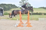 CLASS 6 Senior Foxhunter/ 1.20m Open portfolio
