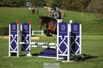 507-EDGEDALE.BLUE.LADY-Katie.Lavin-TrotUp+SJ portfolio