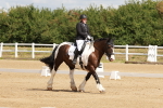 SBM_000425