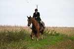 WJ6_9417