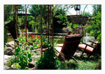 Krista's Garden 2