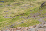 Borrowdale-963