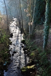 Stream at Soudley