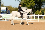 SBM_08111