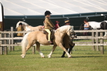 SBM_10188