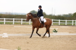 SBM_00463