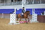 SBM_000338