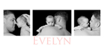 EVELYN-120
