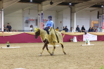 SBM_10227