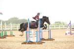 SBM_001703