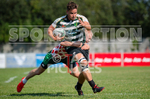 Rugby Sevens Festival 2020-30