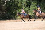 WJ6_8788