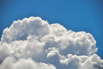 ACP_4611-1