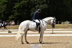 139-Clare.Brown-Tommie.Too portfolio