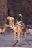 Petra 85
