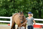 Trot Up 2pm to 3pm portfolio