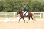 SBM_01031