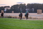 140826-Race 6-Recobella-1701