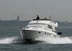 120810 WHITE HORSES WT7A9898