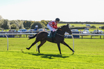 300926-Race 1-Bladey Lady-5850