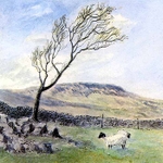 Whernside