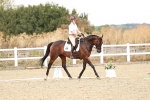 SBM_009933