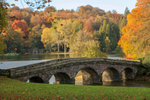 Stourhead gardens during autumn _001