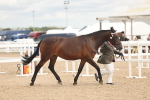 SBM_16954