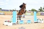 Cls 15 Snr Foxhunter portfolio