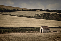 Shepherds Hut