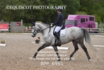 BPP_6951