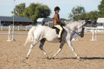 SBM_12334