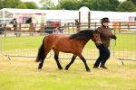 SBM_00264