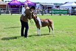 SBM_03582